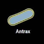 antrax