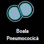 boalapneumo