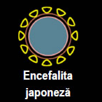 encefalitajap