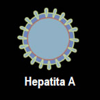 hepatitaa