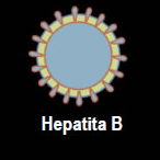 hepatitab
