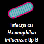 infectia