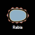 rabia