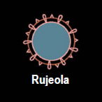 rujeola