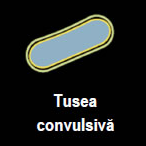 tuseaconv